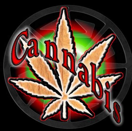 non tu t'es pas tromp� c'est du cannabis